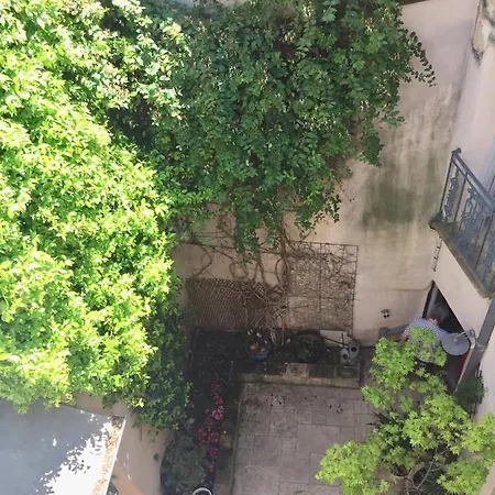 Joha Doma Lunel (Herault)