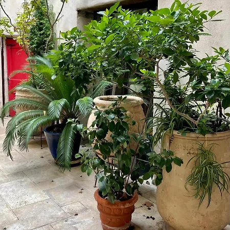 Appartement Joha Doma *